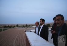 گزارش تصویری حضور دکتر علی خطیبی معاون محترم اداری و مالی وزارت عتف در دانشگاه صنعتی شاهرود
